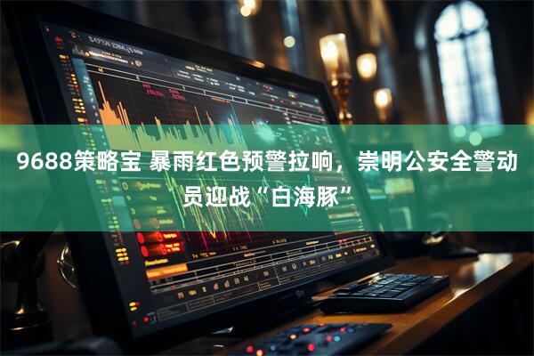 9688策略宝 暴雨红色预警拉响，崇明公安全警动员迎战“白海豚”